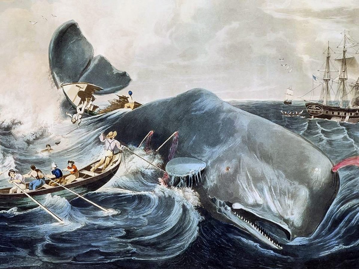Moby Dick and the soul of American capitalism