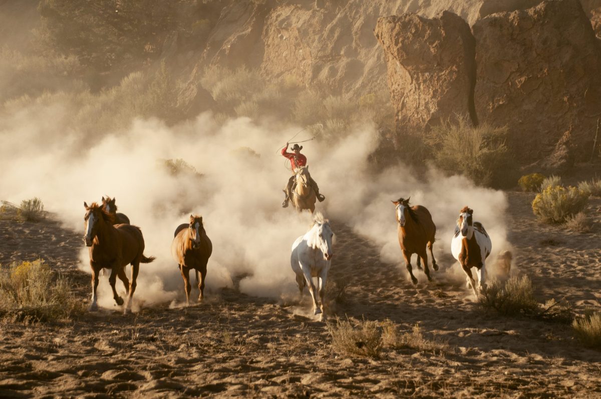 Socialist cowboys in the Texas ‘Fence Cutting Wars’