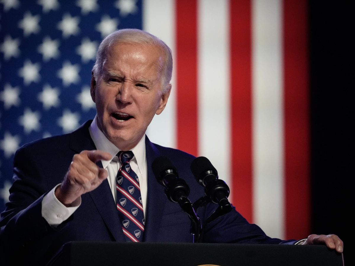 Plaintiff in Biden Gaza genocide lawsuit states their case