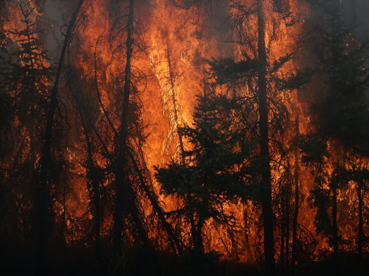 ‘Fire Weather’: Big Oil’s climate conflagration